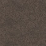 umber swatch  
