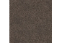umber swatch  