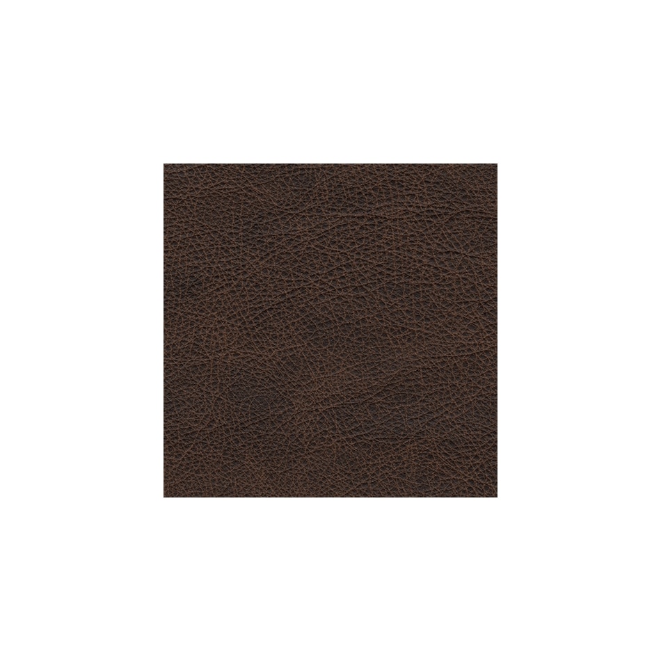 umber swatch  