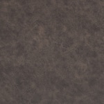 umber swatch  