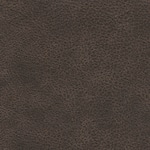 umber swatch  