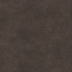 umber swatch  