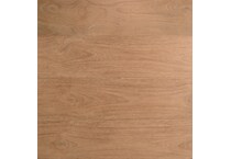 umbra swatch  