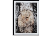 wall art brown black white large picture   