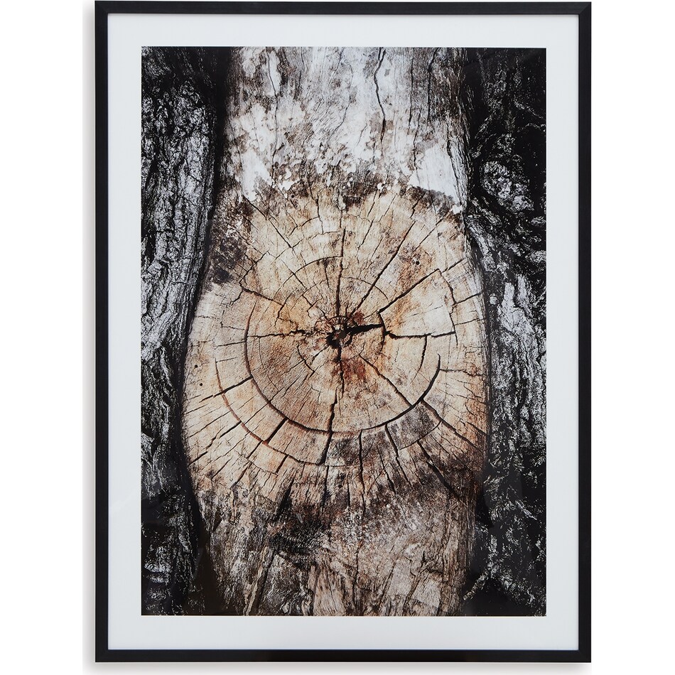 wall art brown black white large picture   