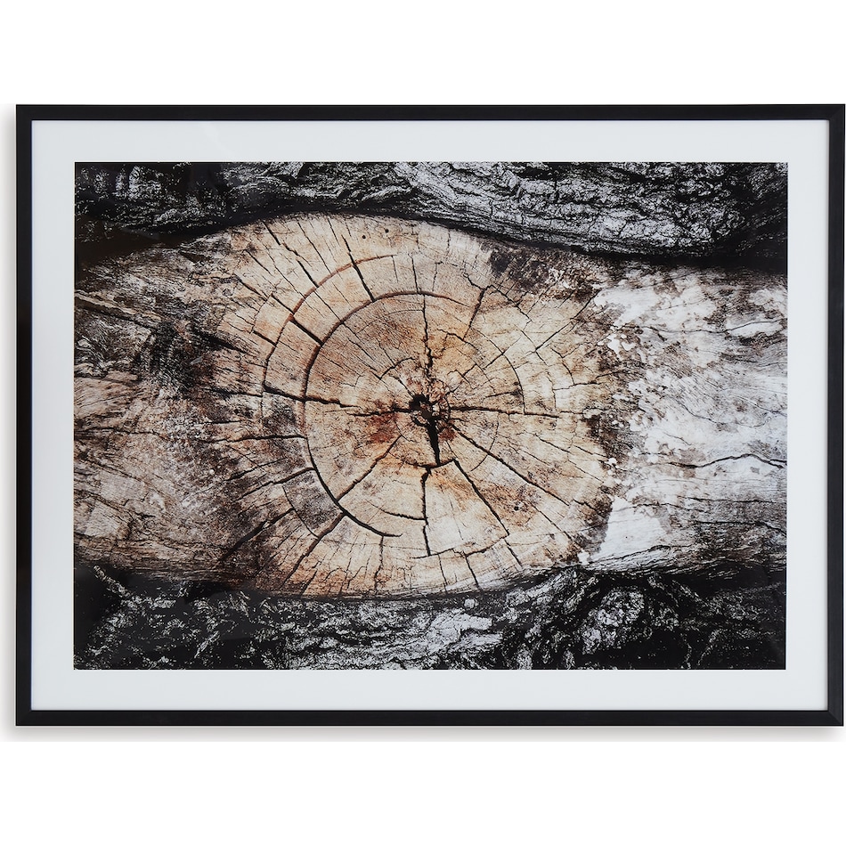 wall art brown black white large picture   
