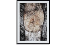 wall art brown black white large picture   