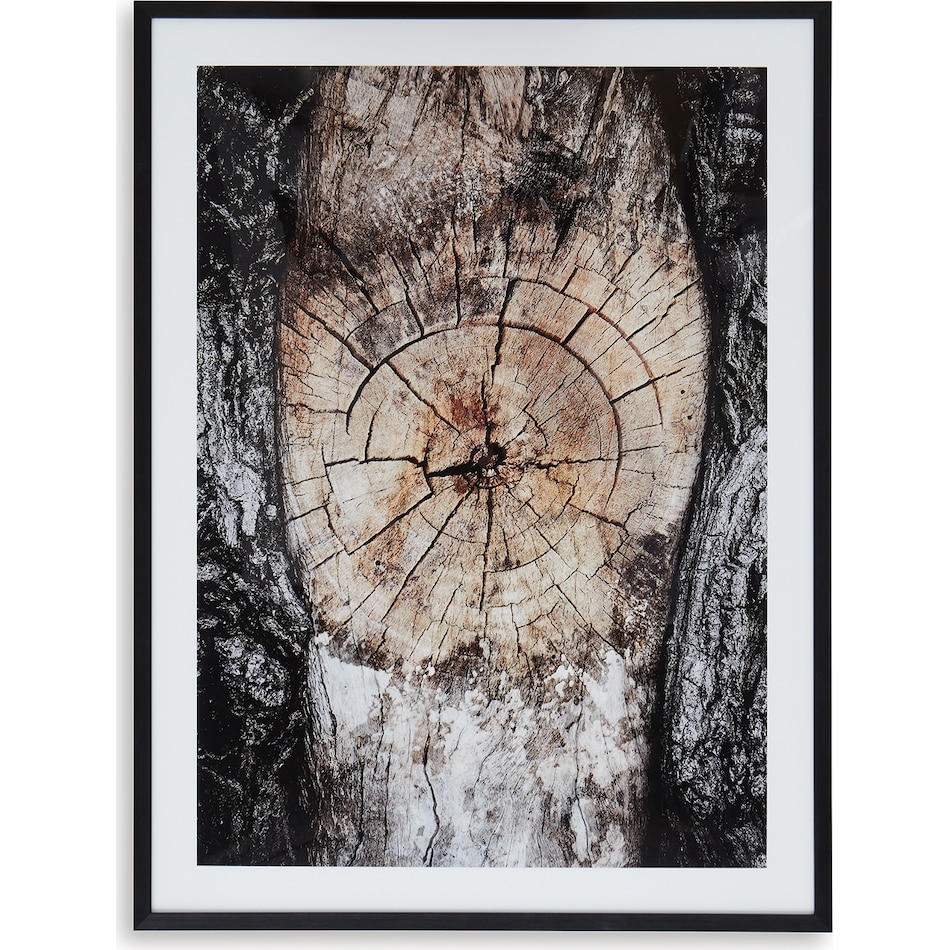 wall art brown black white large picture   