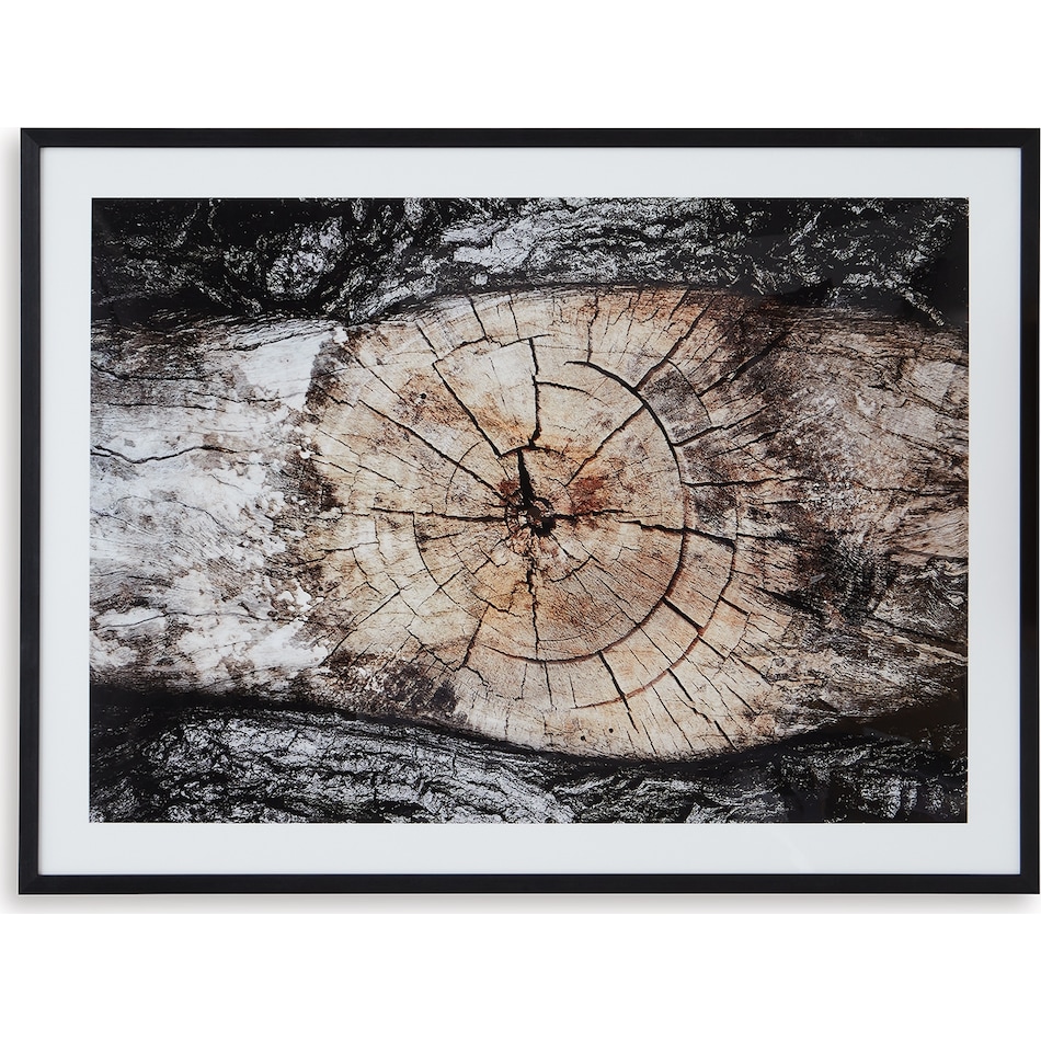 wall art brown black white large picture   