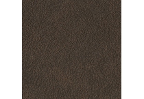 walnut swatch  