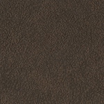 walnut swatch  