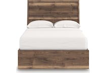 zadilyn brown package   