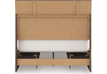 zadilyn brown package   