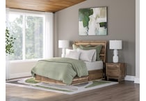 zadilyn brown package   