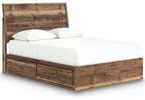 zadilyn brown package   