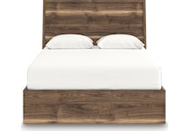 zadilyn brown package   