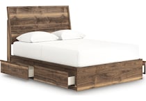 zadilyn brown package   