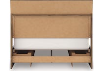 zadilyn brown package   