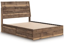 zadilyn brown package   