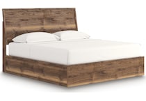 zadilyn brown package   