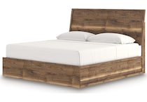 zadilyn brown package   