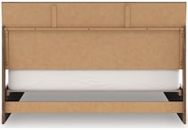 zadilyn brown package   