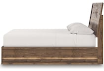 zadilyn brown package   