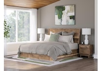 zadilyn brown package   