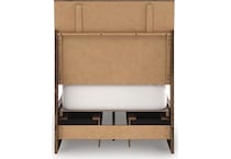 zadilyn brown package   