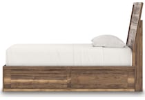 zadilyn brown package   