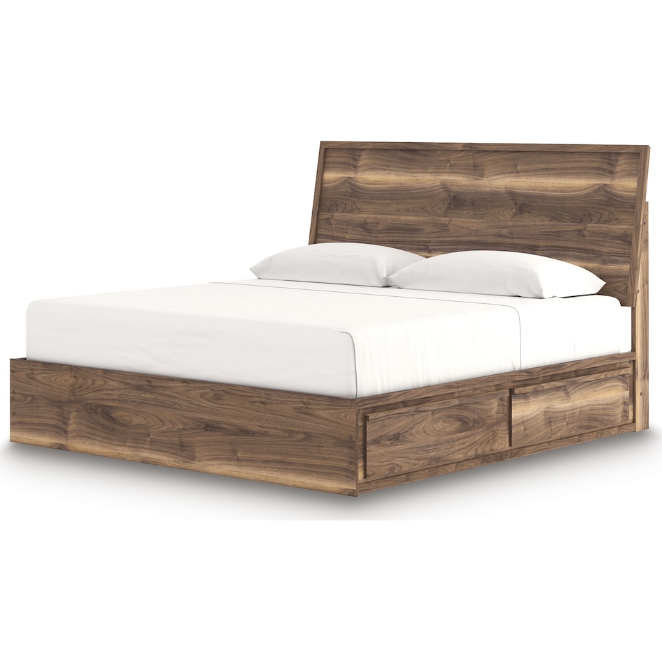 zadilyn brown package   