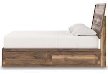 zadilyn brown package   