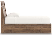 zadilyn brown package   