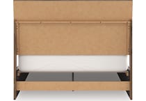 zadilyn brown package   