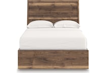 zadilyn brown package   