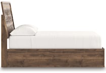 zadilyn brown package   