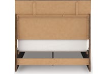 zadilyn brown package   