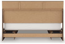 zadilyn package   